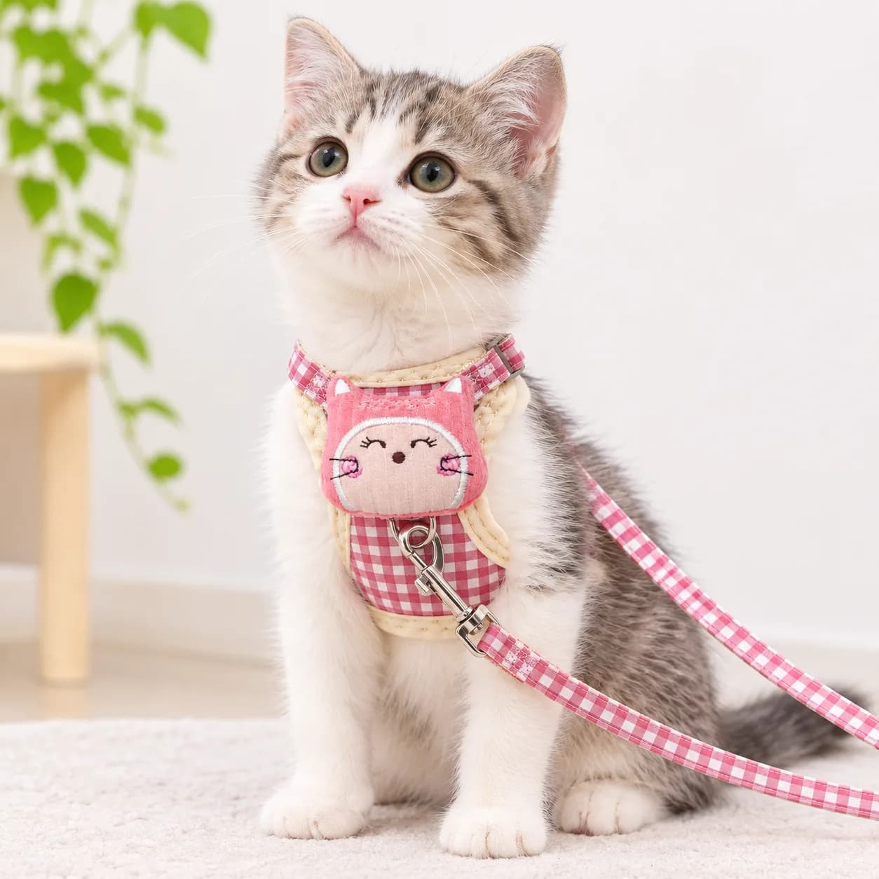 Cat Harness Bee Shape